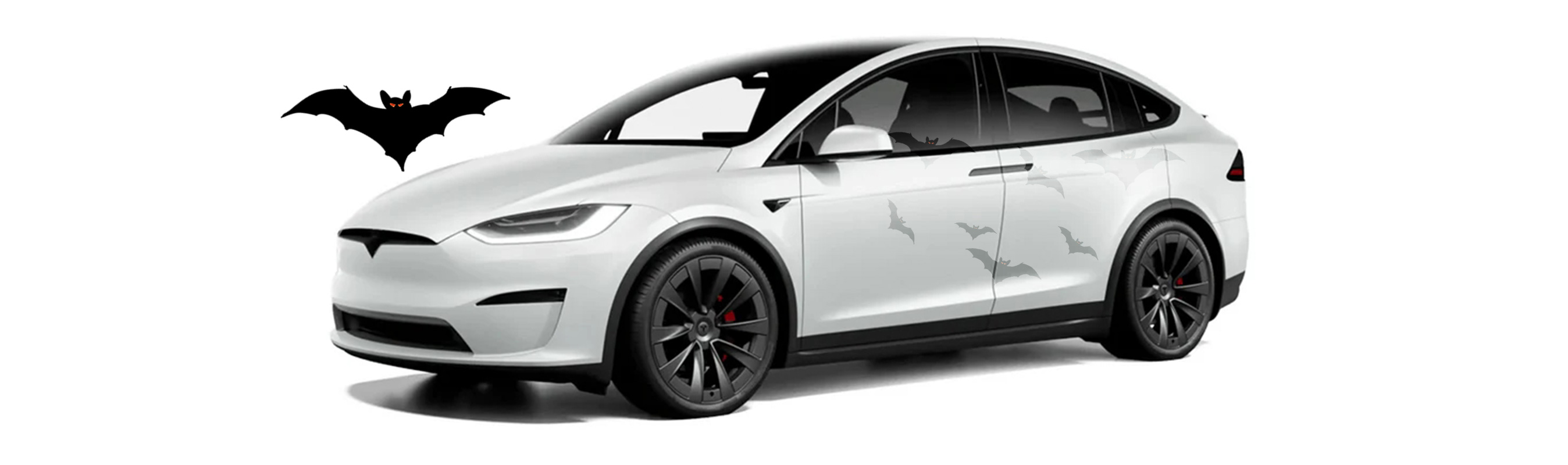 Model X Accessories